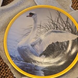 Decorative Swan Plate with Gold Trim
